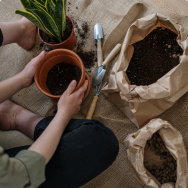 Soil for plants